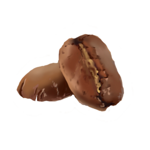 Koffein