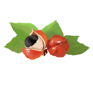 Guarana-complex