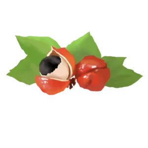 Complesso di guaranà
