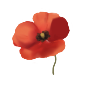 Herbal Caffeine-Horn Poppy-Complex