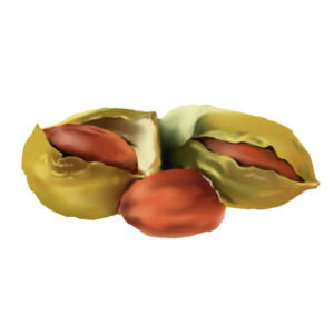 Simmondsia Chinensis (Jojoba Oil)