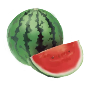 Kalahari Watermelon Extract