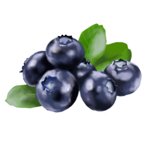 Blueberry Powder