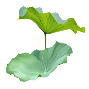 Foglie di Lotus