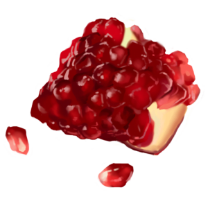 Pomegranate Seeds