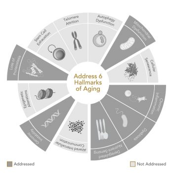 GENR8 Suppléments nutritionnels biotiques GESTION DU POIDS Hallmark