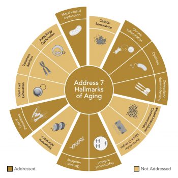 GENR8 Suppléments nutritionnels biotiques GESTION DU POIDS Hallmark