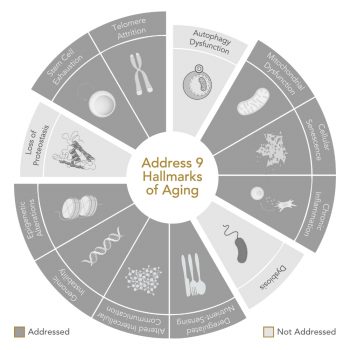 Epigen12™ Cell Renewal Hallmark