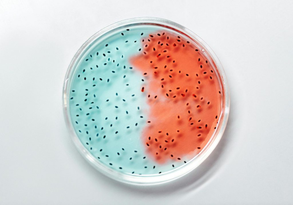 Comprendre les rougeurs de la peau : Causes, microbiome de la peau et solutions image