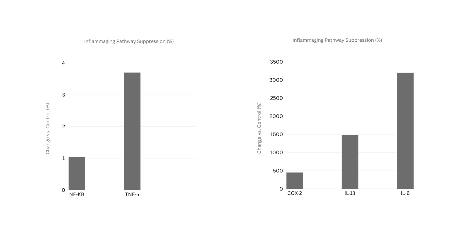De l'expression génétique à la longévité humaine : La science derrière Epigen12™ Cell Renewal picture