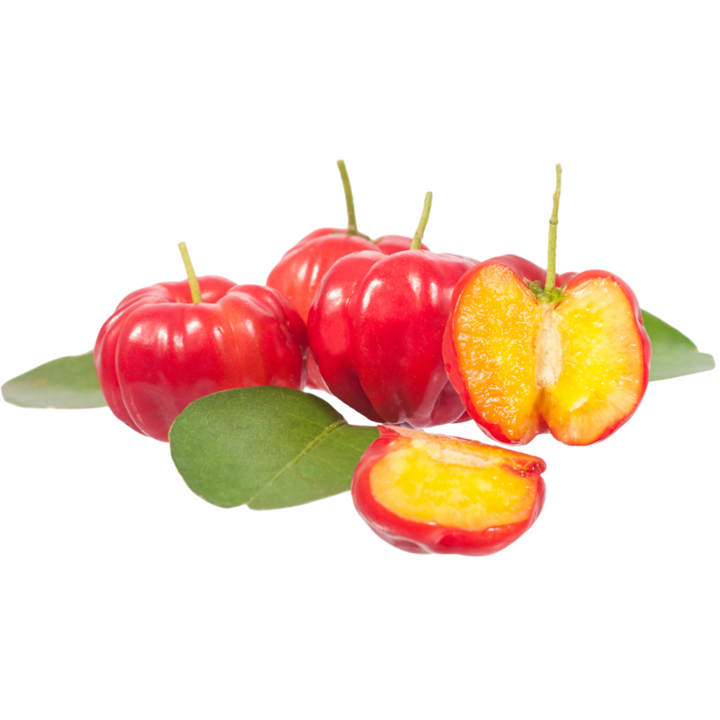 Acerola (1) (1)