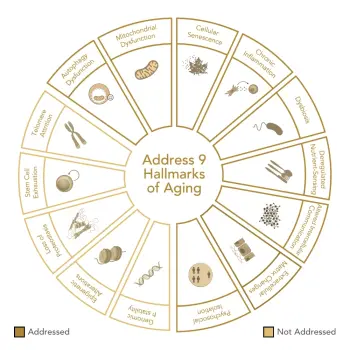 Holistic Body Reset Hallmark